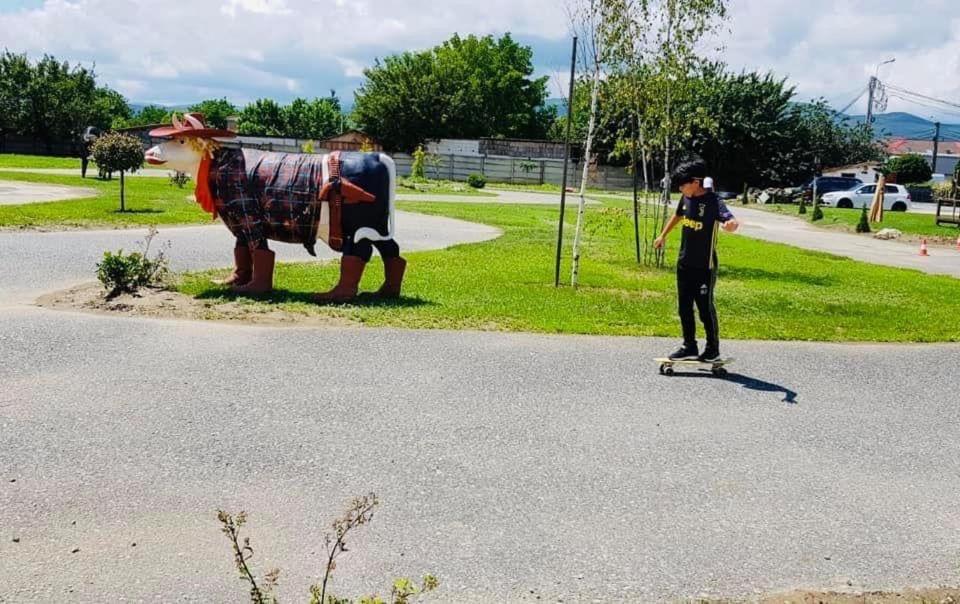 Appartamento Speedhouse Alba Iulia Esterno foto