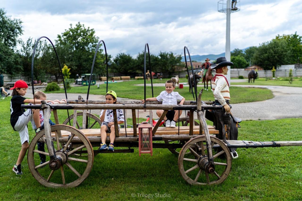 Appartamento Speedhouse Alba Iulia Esterno foto